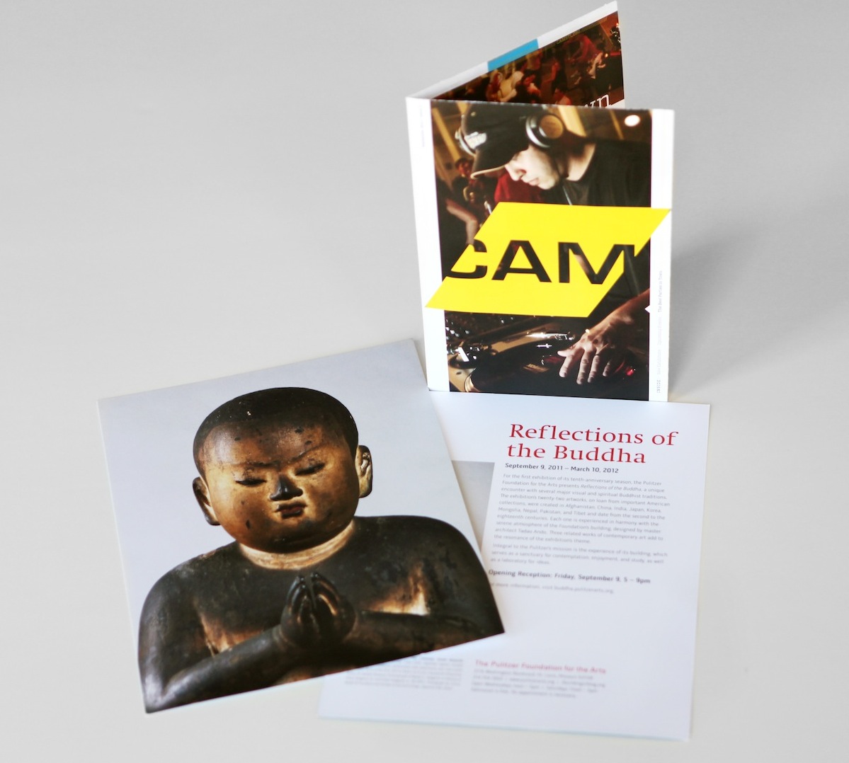 toky-nyt2011-cam-pfa