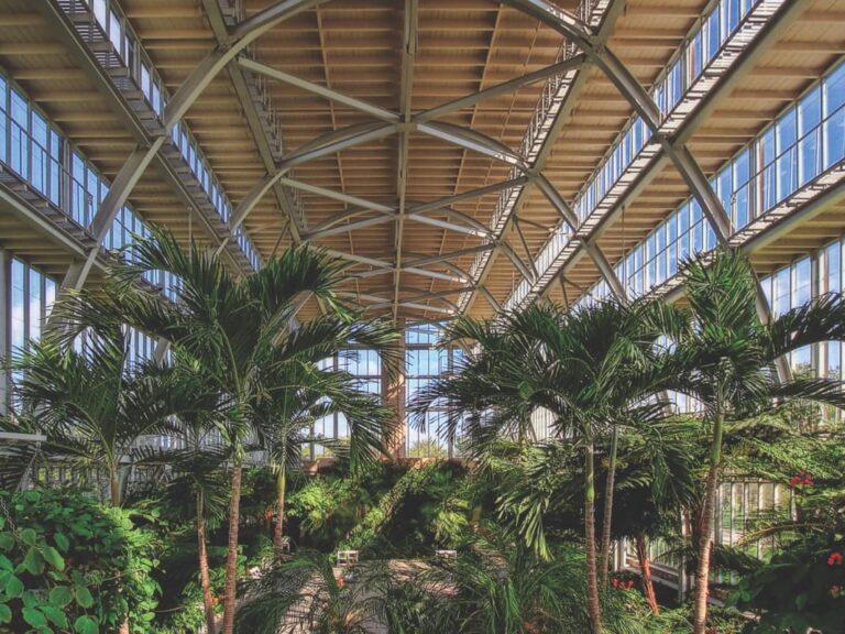 TOKY_FeaturedImage_Christner