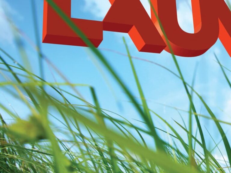 TOKY_FeaturedImage_laumeire-1024x768