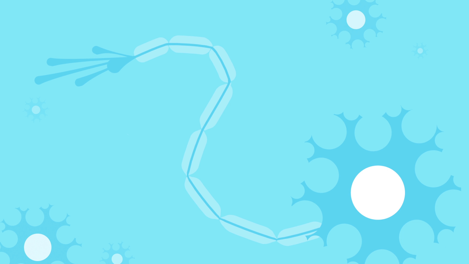 TOKY_Full Width 900h 1