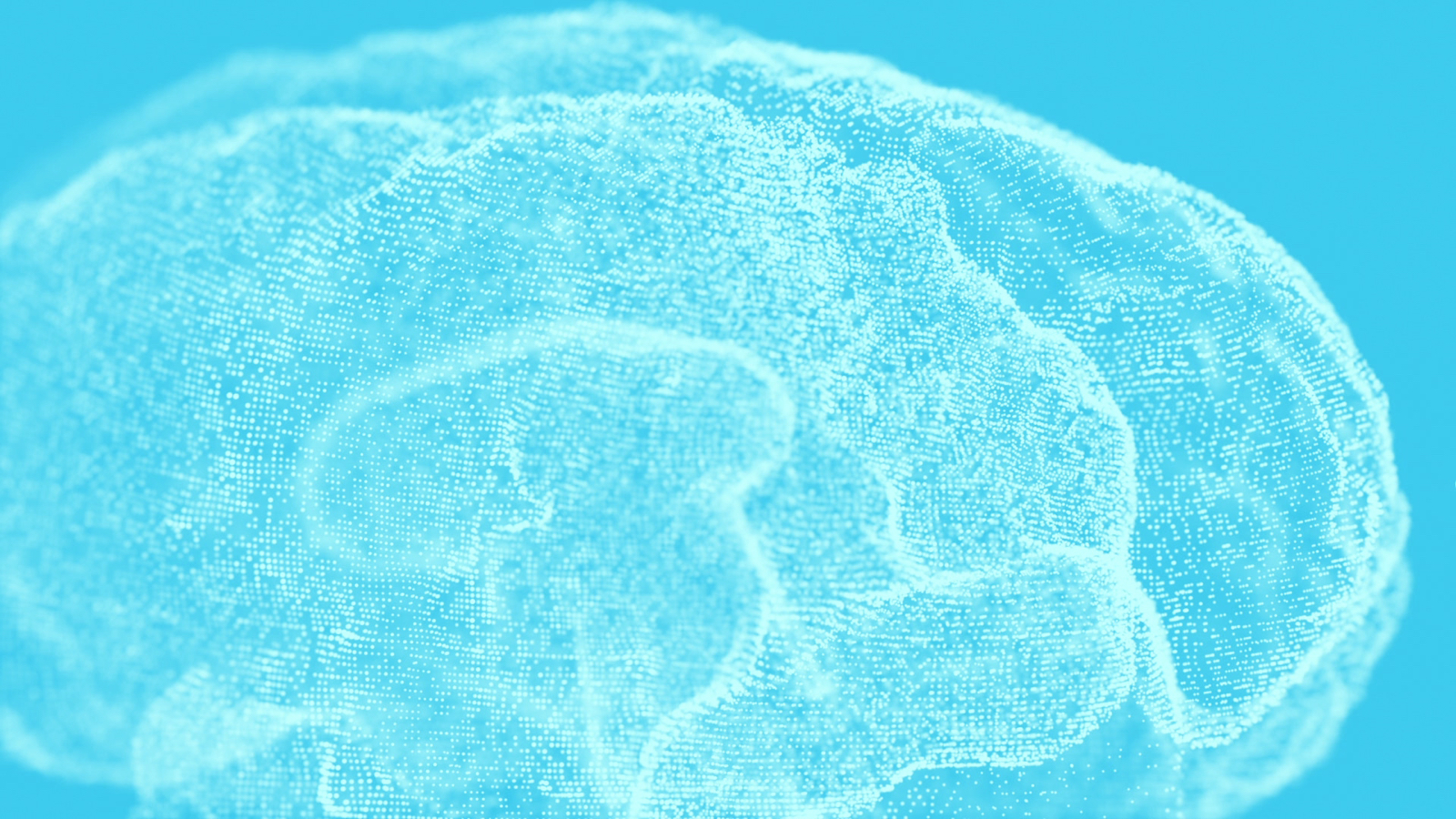 TOKY_Full Width 900h 2