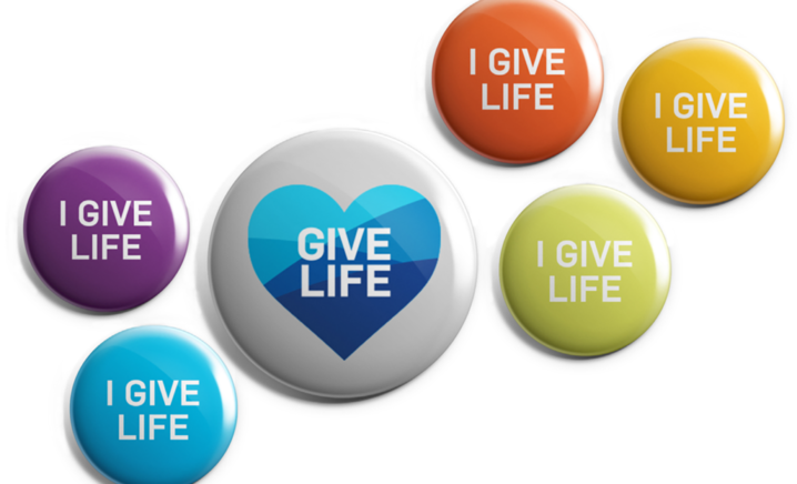 WEB_prod_MT14-1024x768