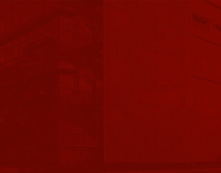 WEB_prod_PGAL10.210-1