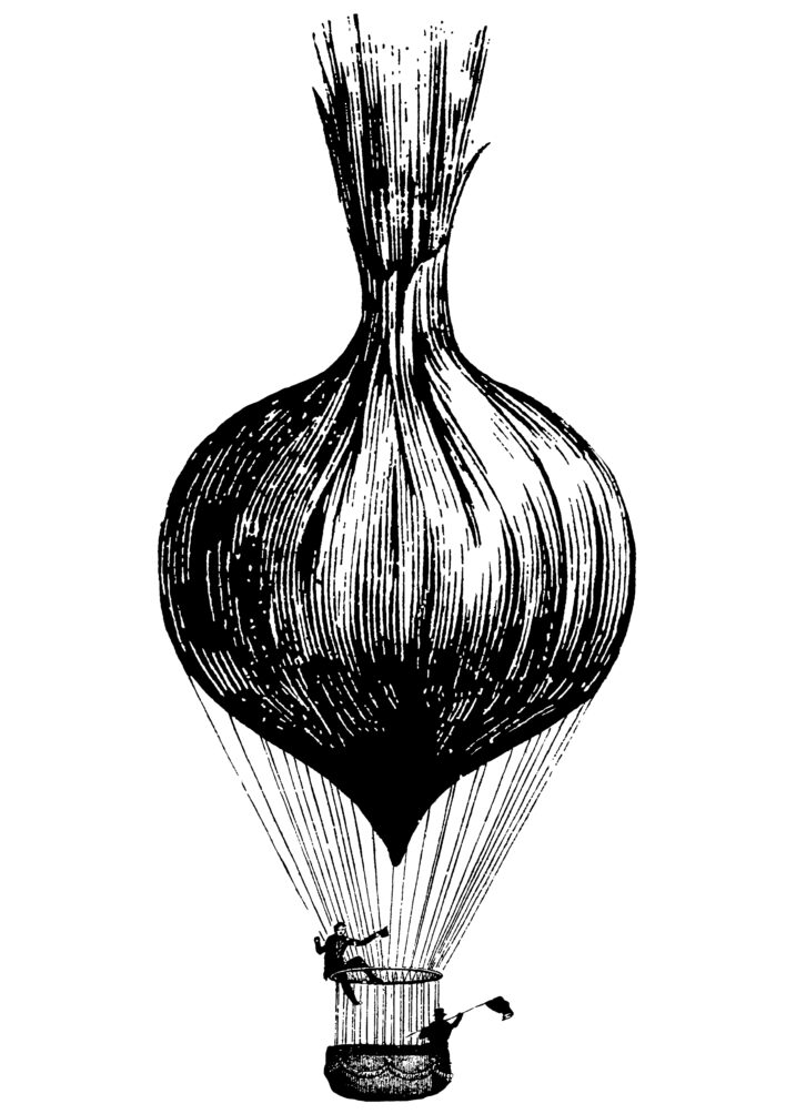 onion_balloon.fa copy