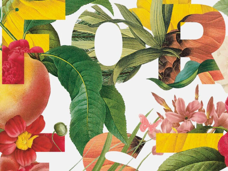 TOKY_FeaturedImage_rainforest-1024x768 copy