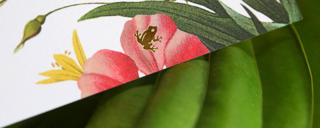 Rainforest Alliance Gala Invite