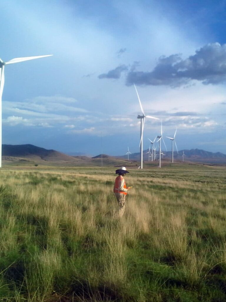 SWCA Environmental Consultants