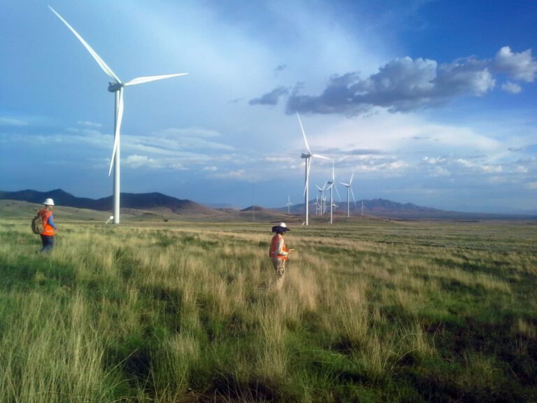 SWCA Environmental Consultants