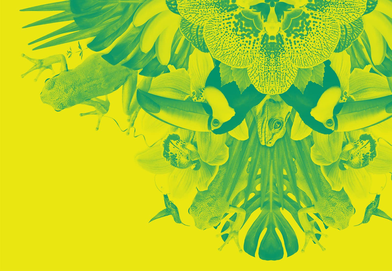 TOKY FeaturedImage 1 RA HeroImage Crop