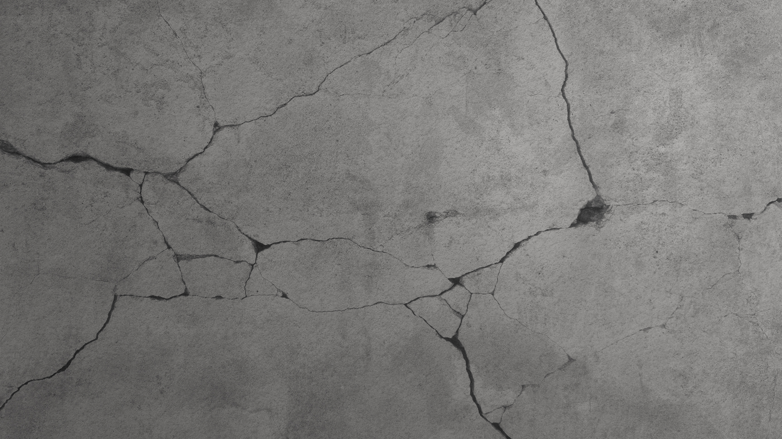 WEB Production Shadrock Williams7