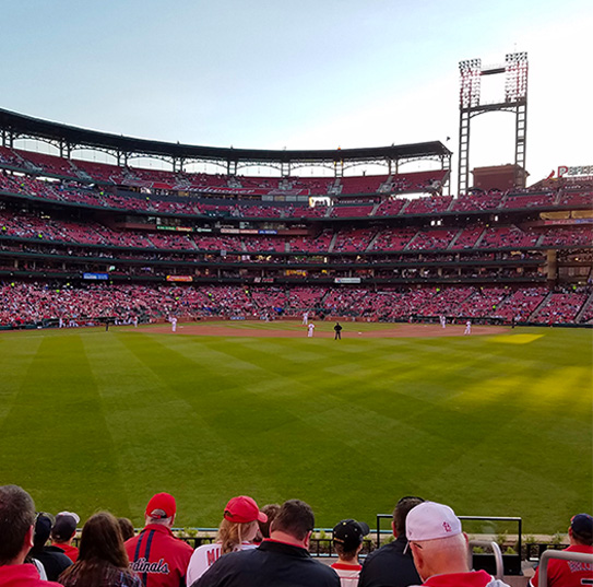 marcus culture pic 1