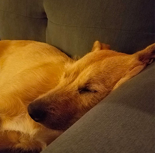 marcus culture pic 3