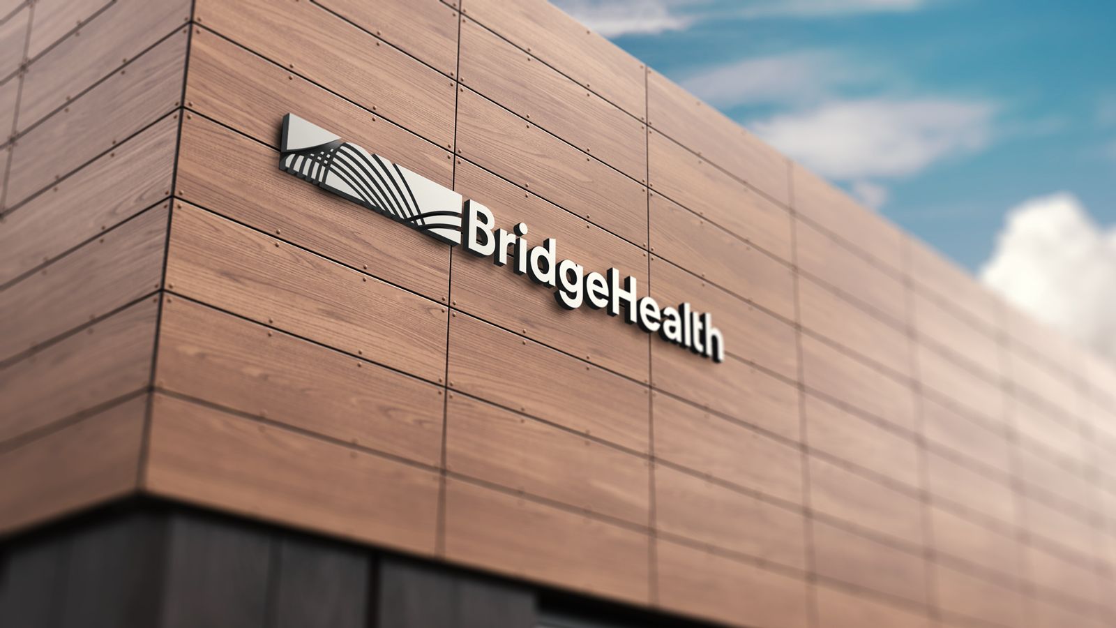 Tokyweb BridgeHealth10