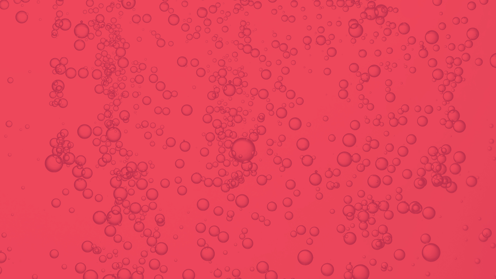 Tokyweb Fizz And Folly JPGs3