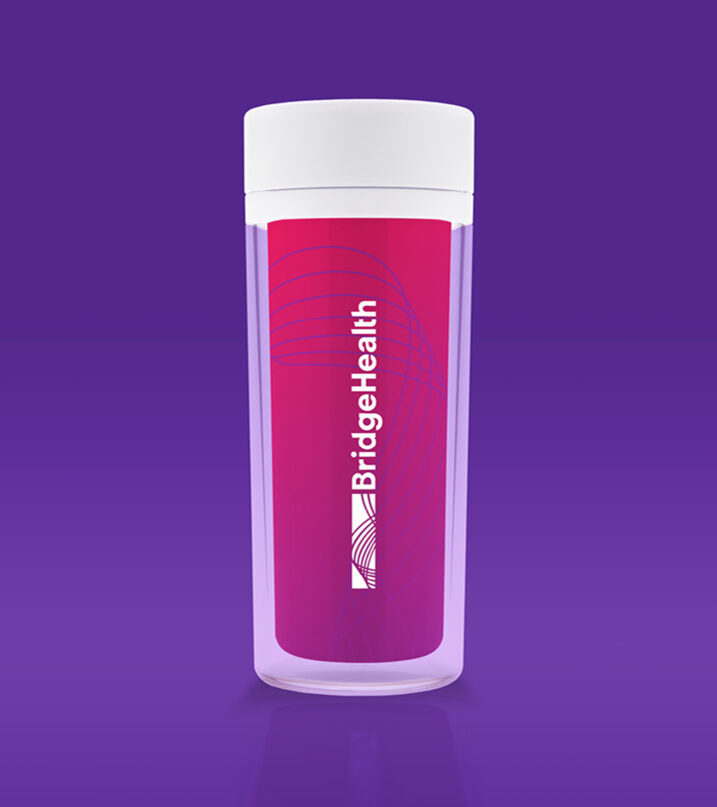 tokyweb_BridgeHealth6 copy