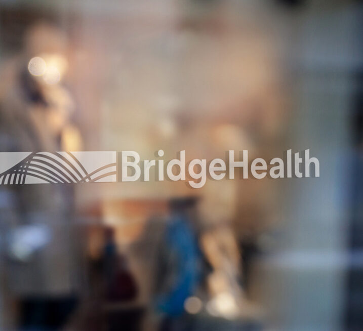 tokyweb_BridgeHealth8 copy