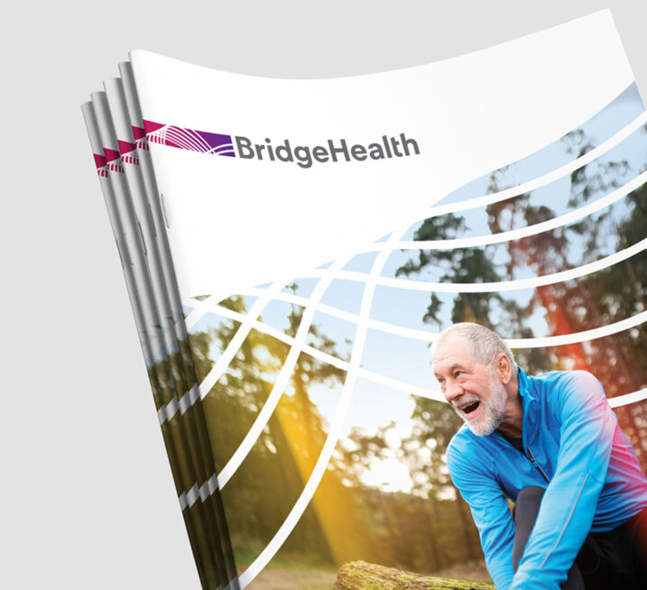 tokyweb_BridgeHealth9 copy